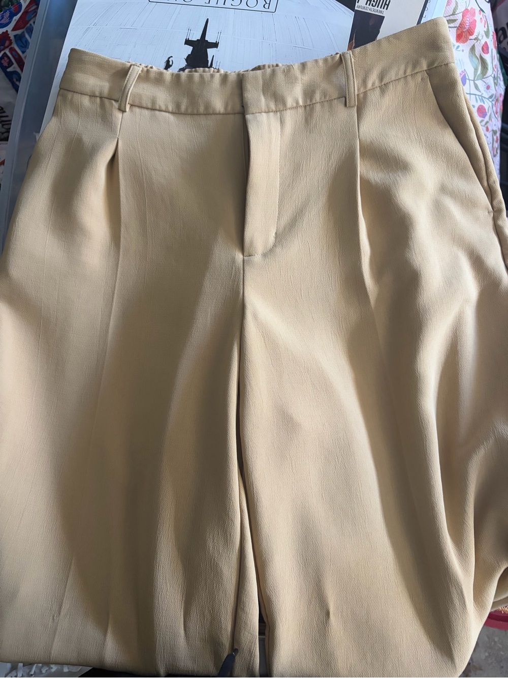 a new day Tan Pleated Wide-Leg Trousers-LONG